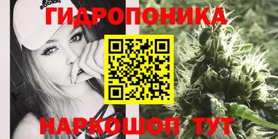 скорость Анапа