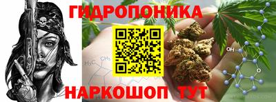 скорость Анапа